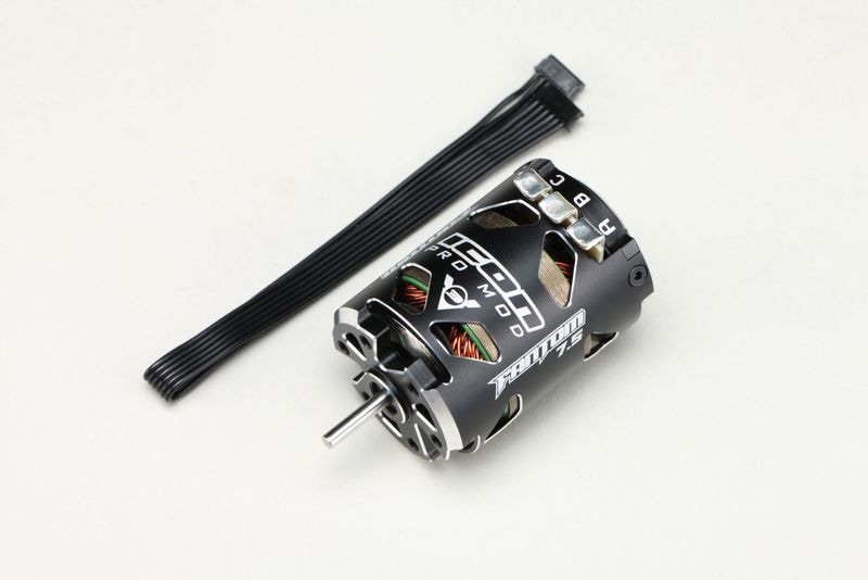FANTOM V3 PRO MODIFIEDS 7.5T