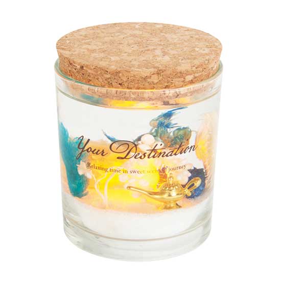 �ե쥰��󥹥�����LED�饤��