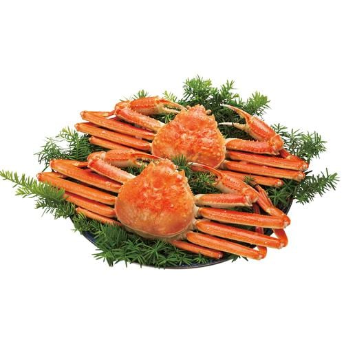 �̳�ƻ�����襤����2���ڡ��᡼����ľ������