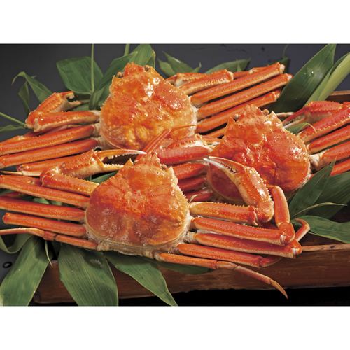 �̳�ƻ�����襤����3���ڡ��᡼����ľ������