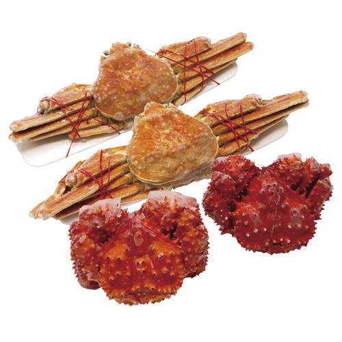 �̳�ƻ2�祬�˥��åȡڡ��᡼����ľ������