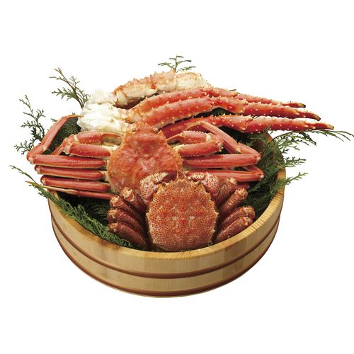 �̤γ�·���ȡڡ��᡼����ľ������