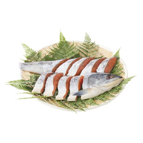 �̳�ƻ�����ӿ��������ڿ� No39�ڡ��᡼����ľ������