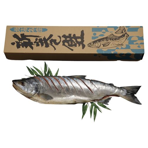 �̳�ƻ�� �������ʻ��ڤ��������1.6kg�ڡ��᡼����ľ������