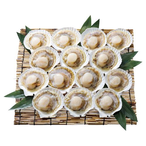 �̳�ƻ�����ä��ʤۤ��Ƴ�14��ڡ��᡼����ľ������