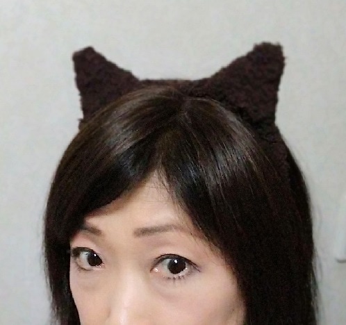 ϥ ץ ͤ塼 ֥饦 ڲ