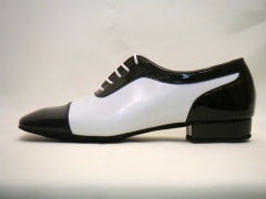 TOP DREAM TD1400�������ʥ��������