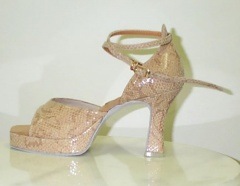 TOP DREAM SS2000 ץåȥեʸ8.5١