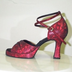 TOP DREAM SS2200 ץåȥեʸ8.5