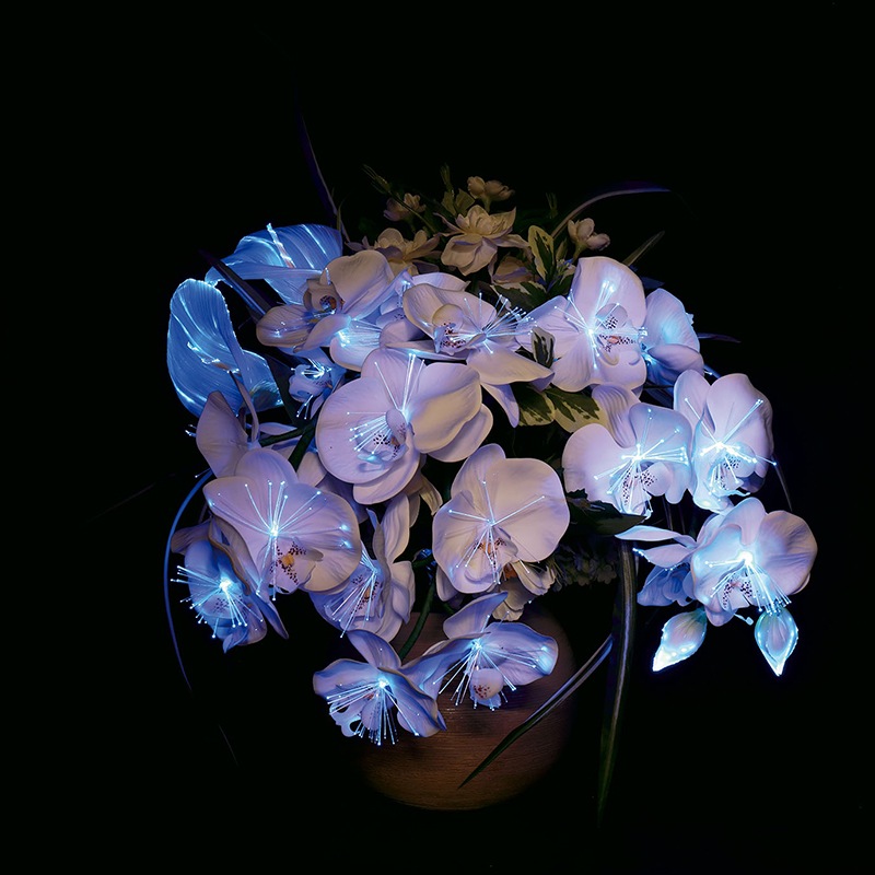 送料無料】蓮華灯 ルミナス アレンジ胡蝶蘭 コード式LED 光触媒