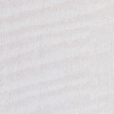 ������ ���ߥ󲽾��� AN-2767KM ���ߥ󲽾��� ���������� AICA