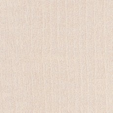 ������ ���ߥ󲽾��� AN-5545KM ���ߥ󲽾��� ���������� AICA