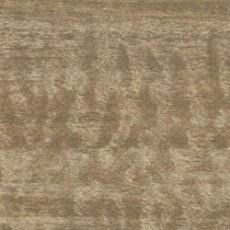 ������ ���ߥ󲽾��� AN-10046KM ���ߥ󲽾��� ���������� AICA