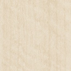 ������ ���ߥ󲽾��� ANY1937KM ���ߥ󲽾��� ���������� AICA