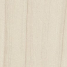 ������ ���ߥ󲽾��� ANY1939KM ���ߥ󲽾��� ���������� AICA