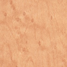 ������ ���ߥ󲽾��� AY-279KG ���ߥ󲽾��� ���������� AICA