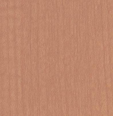 ������ ��ӥ��� JC-2221K ���ߥ󲽾��� ���������� AICA