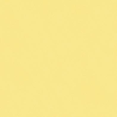 ���顼�ե��åȥ��ߥ� K-6500KN ���ߥ󲽾��� ���������� AICA