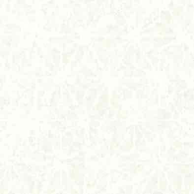 ������ ��ӥ��� LJ-10034K ���ߥ󲽾��� ���������� AICA