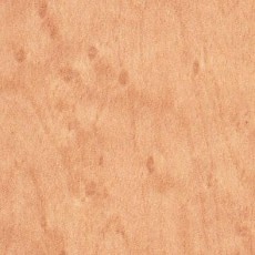 ������ �ݥ� AP-279G �ݥ��ġ����ѥܡ��� ���������� AICA