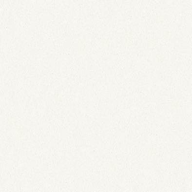 ������ �ѡ���ȡ���ݥ� PT-6001 �ݥ��ġ����ѥܡ��� ���������� AICA