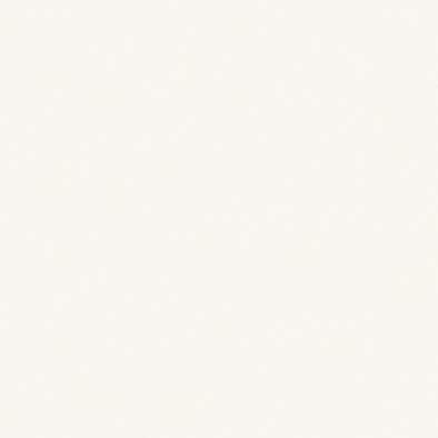 ������ ���顼�ե��åȥݥ� RK-6004 �ݥ��ġ����ѥܡ��� ���������� AICA