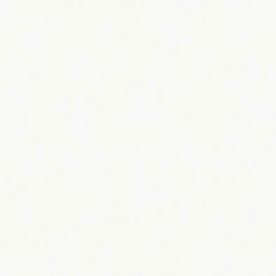 ������ ���顼�ե��åȥݥ� RK-6005 �ݥ��ġ����ѥܡ��� ���������� AICA