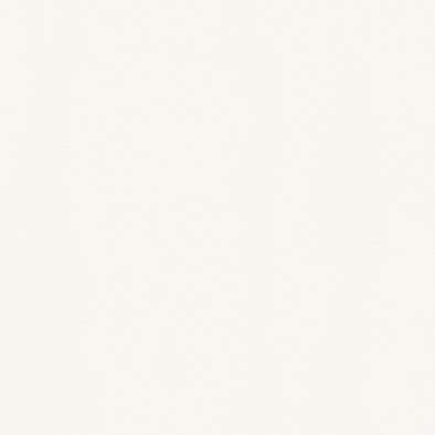 ������ ���顼�ե��åȥݥ� RK-6006 �ݥ��ġ����ѥܡ��� ���������� AICA