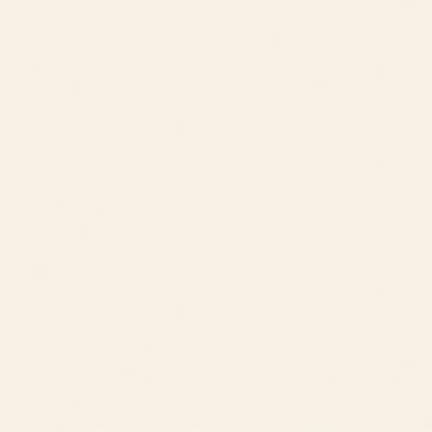 ������ ���顼�ե��åȥݥ� RK-6008 �ݥ��ġ����ѥܡ��� ���������� AICA