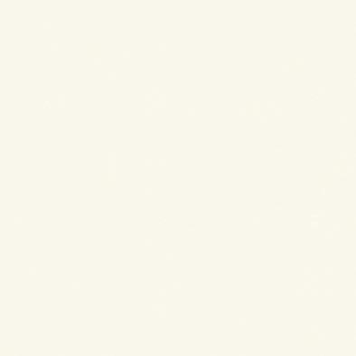 ������ ���顼�ե��åȥݥ� RK-6009 �ݥ��ġ����ѥܡ��� ���������� AICA