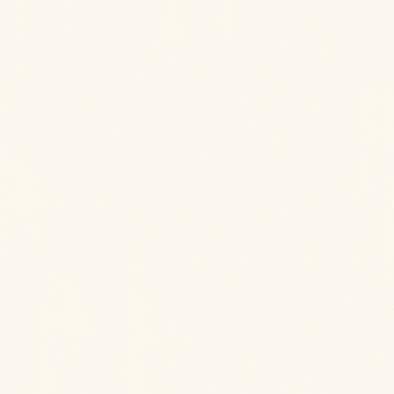 ������ ���顼�ե��åȥݥ� RK-6010 �ݥ��ġ����ѥܡ��� ���������� AICA