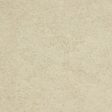 �ⰵ���ߥ󲽾��� �������륹�����ݥ��ӥܡ��� VMX-3533TX IBIKEN ���ӥ���