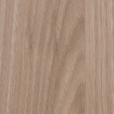 �ⰵ���ߥ󲽾��� ���ӥܡ��� �ץ�ߥ��ಽ���� BMS-8816DE IBIKEN ���ӥ���