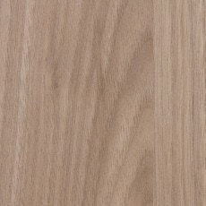 �ⰵ���ߥ󲽾��� ���ӥܡ��� �ץ�ߥ��ಽ���� BMS-8816DE IBIKEN ���ӥ���