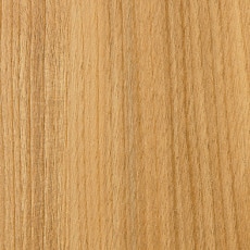 �ⰵ���ߥ󲽾��� ���ӥܡ��� �ץ�ߥ��ಽ���� BMS-8817DE IBIKEN ���ӥ���