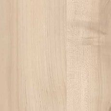 ������ ��ӥ��� JC-10245K ���ߥ󲽾��� ���������� AICA