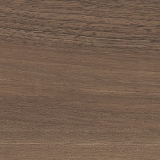 ������ ����쥹 ���ߥ� ���륵�� TJY-10246K ���ߥ󲽾��� ���������� AICA