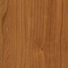 ������ ����쥹 ���ߥ� ���륵�� TJY-10274K ���ߥ󲽾��� ���������� AICA