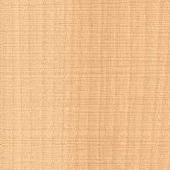 ������ ������ƥ���P�̣գ� ���ݡ��������륹���ý� ���ߥ󲽾��� EJY-468K ���������� ��ICA