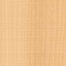 ������ ������ƥ���P�̣գ� ���ݡ��������륹���ý� ���ߥ󲽾��� EJY-468K ���������� ��ICA