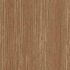 ������ ������ƥ���P�̣գ� ���ݡ��������륹���ý� ���ߥ󲽾��� EJY-508K ���������� ��ICA