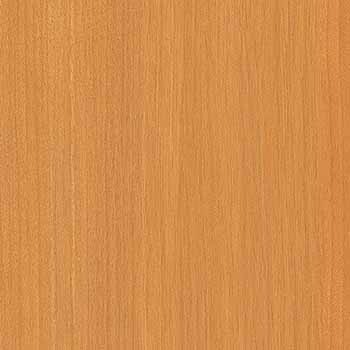 ������ ������ƥ���P�̣գ� ���ݡ��������륹���ý� ���ߥ󲽾��� EJY-2011K ���������� ��ICA