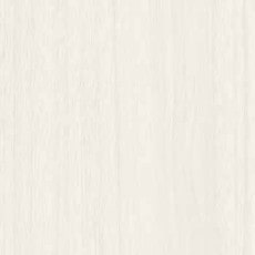 ������ ������ƥ���P�̣գ� ���ݡ��������륹���ý� ���ߥ󲽾��� EJY-2060K ���������� ��ICA