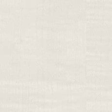 ������ ������ƥ���P�̣գ� ���ݡ��������륹���ý� ���ߥ󲽾��� EJY-2085K ���������� ��ICA