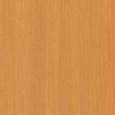 ������  �ޡ��쥹�ܡ���PT  BBQ-2011 �ݥ��ġ����ѥܡ��� ���������� AICA