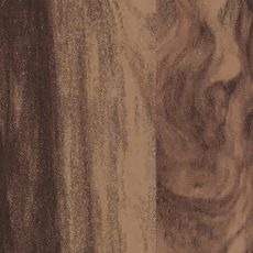 ������ ����쥹 ���ߥ� ���륵�� TJY10023KQ98 ���ߥ󲽾��� ���������� AICA