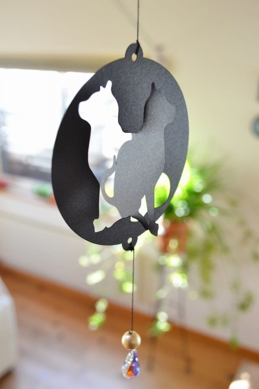 ��ӡ��륫���� �ͥ���