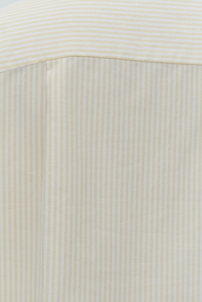 ストライプフリルボザムシャツ