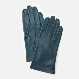 AltaClasseCAPRIGUANTI  メンズ 革手袋 ブルー