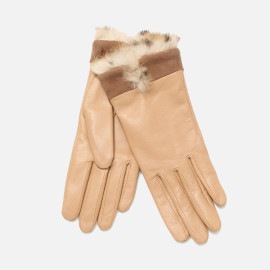 CAPRIGUANTI  レディース 革手袋